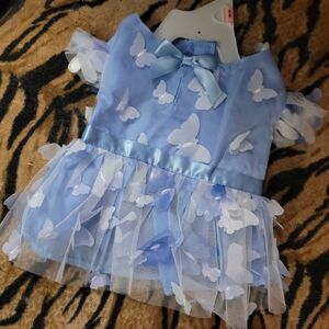Pet Drrss Dog Or Cat Light Blue Butterfly Tulle Dress with Satin Bow